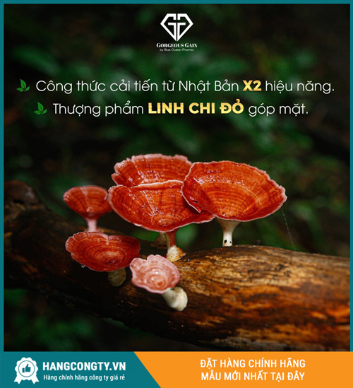 Thành phần của viên ăn ngon GG 2X 