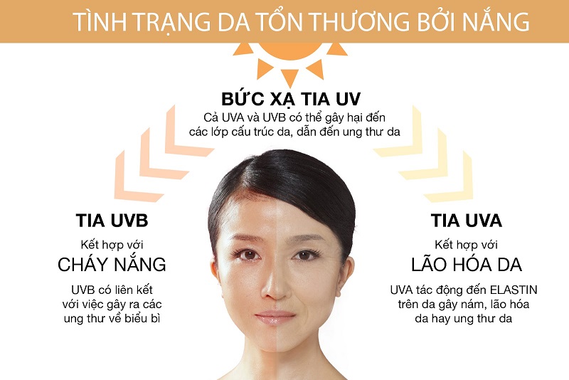 Ảnh hưởng của ánh nắng mặt trời 